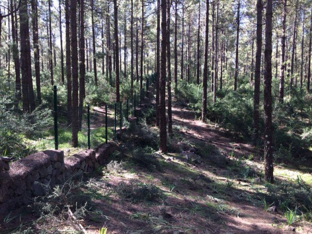  Il nostro bosco